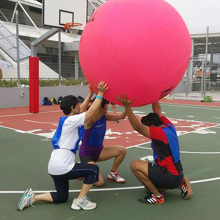 Kin-Ball Community Interest Group