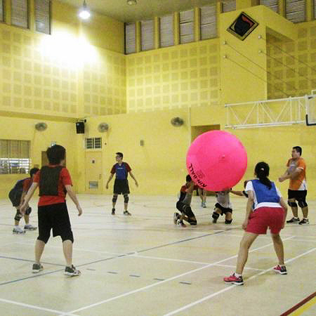 Kin-Ball Community Interest Group