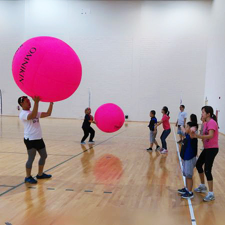 Kin-Ball Community Interest Group