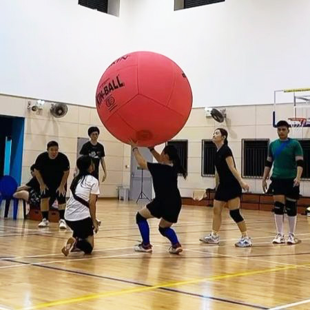Kin-Ball Community Interest Group