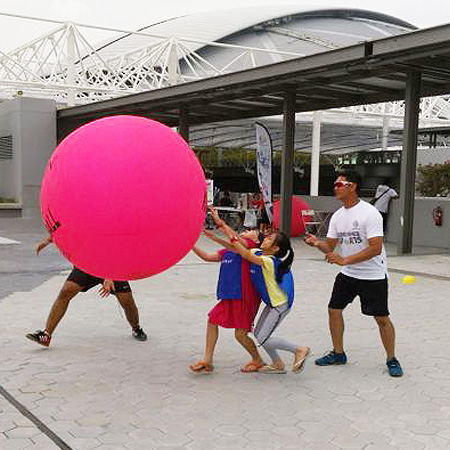 Kin-Ball Community Interest Group